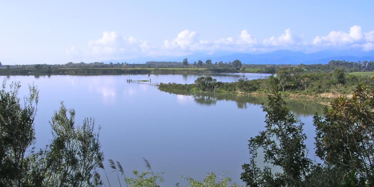 Locations "Chezchristine Aleria" A Aleria Villa Ngoại thất bức ảnh